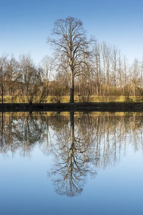 Gerahmter Druck : Bäume im Lech spiegeln sich. Gerahmter Druck : Bäume im Lech spiegeln sich.