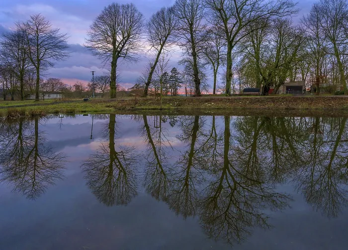 Gerahmter Druck : Bäume im Spiegel eines Sees, Abendstimmung. Gerahmter Druck : Bäume im Spiegel eines Sees, Abendstimmung.