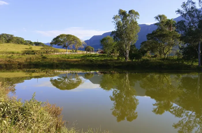 Gerahmter Druck : Bäume, die sich in einem Teich spiegeln, Serra da Canastra. Gerahmter Druck : Bäume, die sich in einem Teich spiegeln, Serra da Canastra.
