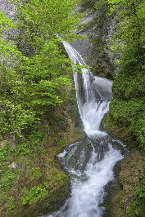 Gerahmter Druck : Trefflingfall, Puchenstuben, Niederösterreich Gerahmter Druck : Trefflingfall, Puchenstuben, Niederösterreich