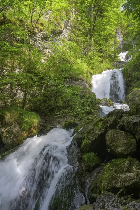 Gerahmter Druck : Trefflingfall, Puchenstuben, Niederösterreich Gerahmter Druck : Trefflingfall, Puchenstuben, Niederösterreich