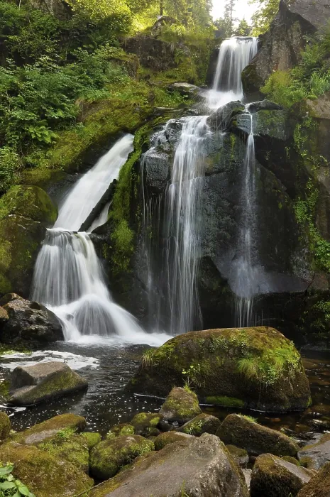 Gerahmter Druck : Triberger Wasserfall Gerahmter Druck : Triberger Wasserfall