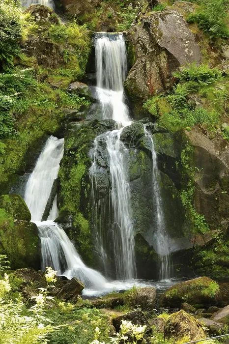 Gerahmter Druck : Triberger Wasserfall Gerahmter Druck : Triberger Wasserfall