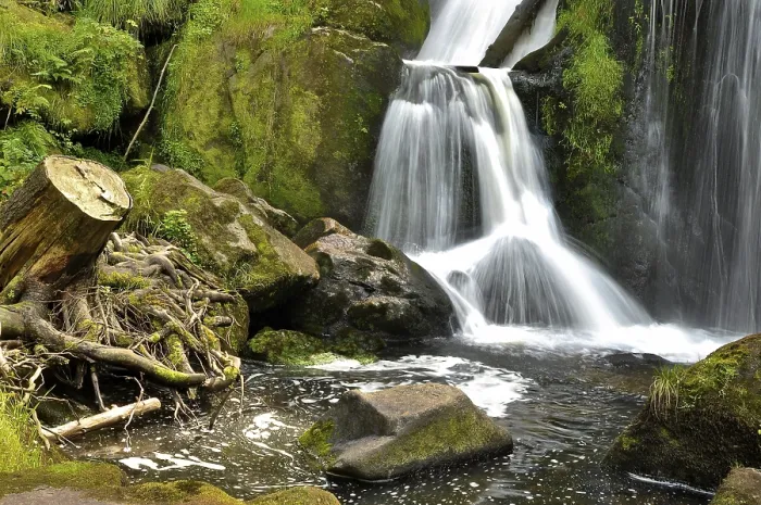 Gerahmter Druck : Triberger Wasserfall Gerahmter Druck : Triberger Wasserfall