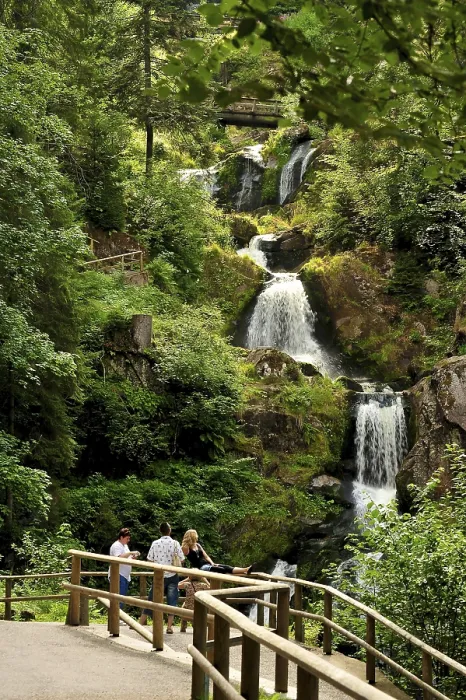 Gerahmter Druck : Triberger Wasserfall Gerahmter Druck : Triberger Wasserfall