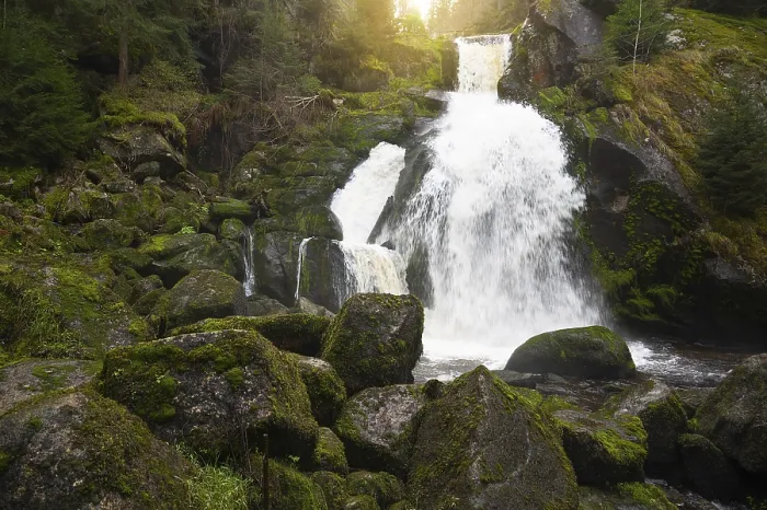 Gerahmter Druck : Triberger Wasserfall im Schwarzwald Gerahmter Druck : Triberger Wasserfall im Schwarzwald