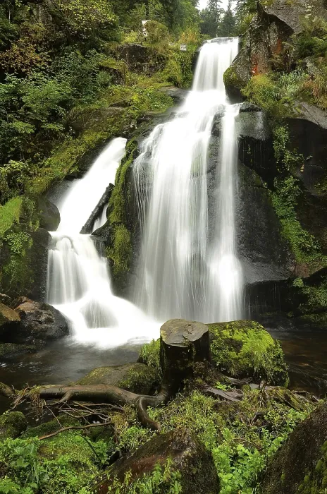 Gerahmter Druck : Triberger Wasserfall im Schwarzwald. Gerahmter Druck : Triberger Wasserfall im Schwarzwald.