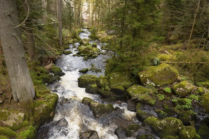 Gerahmter Druck : Triberger Wasserfall im Schwarzwald. Gerahmter Druck : Triberger Wasserfall im Schwarzwald.
