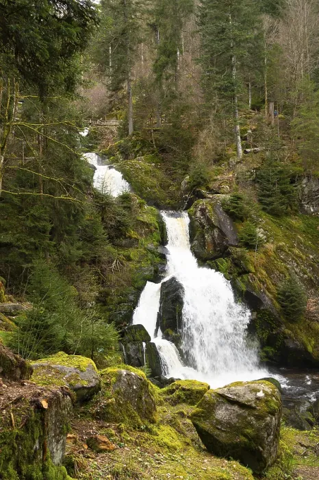 Gerahmter Druck : Triberger Wasserfall im Schwarzwald. Gerahmter Druck : Triberger Wasserfall im Schwarzwald.