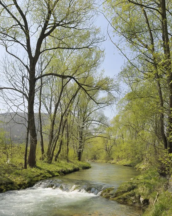 Gerahmter Druck : Der Triesting in der Frühling, das Triestingtal. Gerahmter Druck : Der Triesting in der Frühling, das Triestingtal.