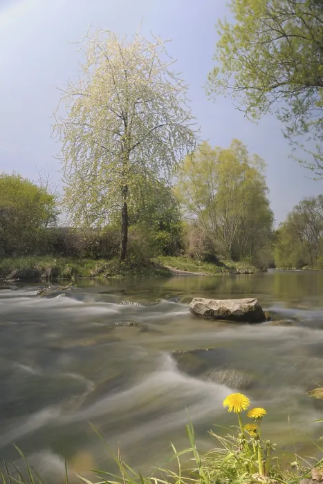 Gerahmter Druck : Fluss Triesting im Frühjahr, Tal des Triesting. Gerahmter Druck : Fluss Triesting im Frühjahr, Tal des Triesting.