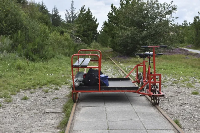 Gerahmter Druck : Wagen im Wald, Dänemark. Gerahmter Druck : Wagen im Wald, Dänemark.