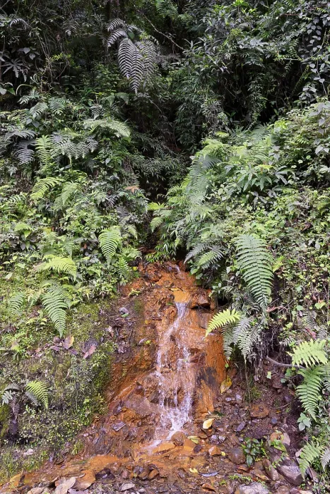 Gerahmter Druck : Tropischer Wolkennebelwaldlandschaft, Manu-Nationalpark, Peru Gerahmter Druck : Tropischer Wolkennebelwaldlandschaft, Manu-Nationalpark, Peru