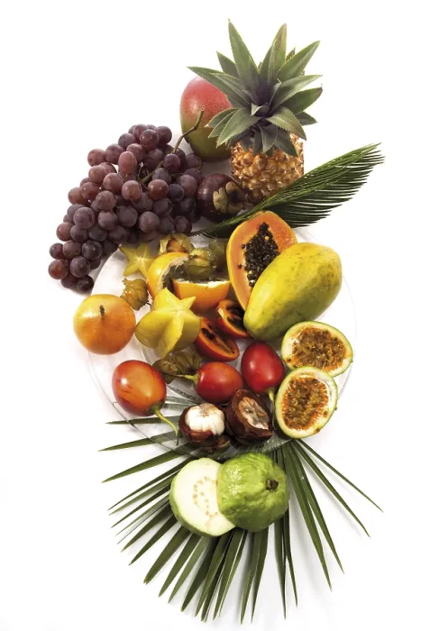 Gerahmter Druck : Tropischer Frucht Gerahmter Druck : Tropischer Frucht