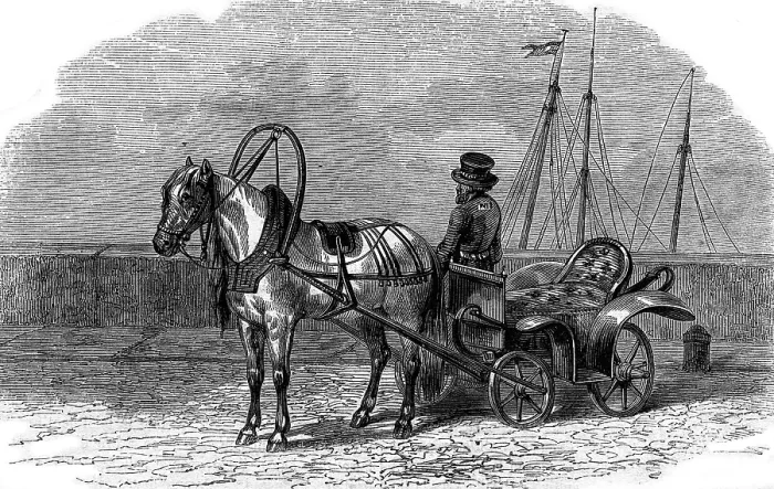 Gerahmter Druck : Der Trotzki, antike illustrierte Engraving. Gerahmter Druck : Der Trotzki, antike illustrierte Engraving.