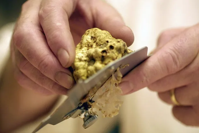 Gerahmter Druck : Truffels Gerahmter Druck : Truffels