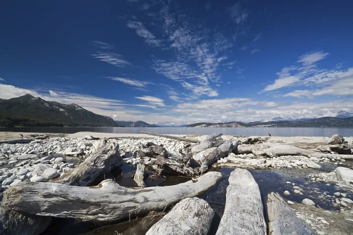 Gerahmter Druck : Bäume am See Nahuel Huapi Gerahmter Druck : Bäume am See Nahuel Huapi