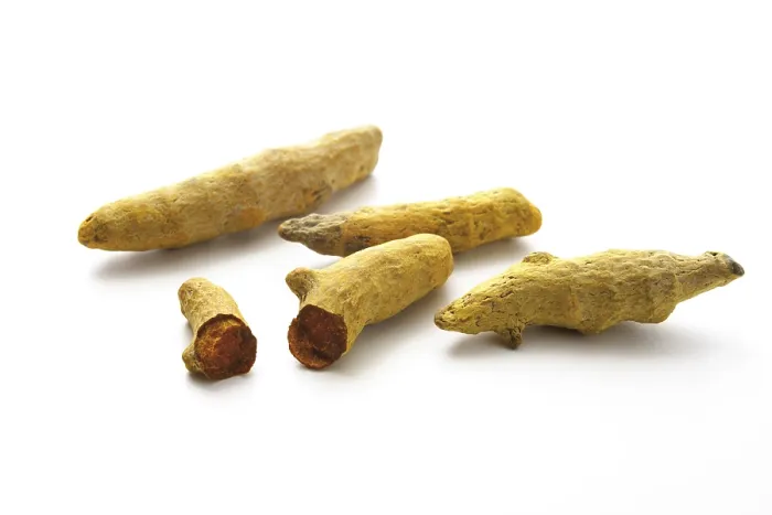 Gerahmter Druck : Kurkuma (Curcuma longa)