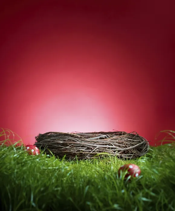 Gerahmter Druck : Gras vor einem roten Hintergrund. Gerahmter Druck : Gras vor einem roten Hintergrund.