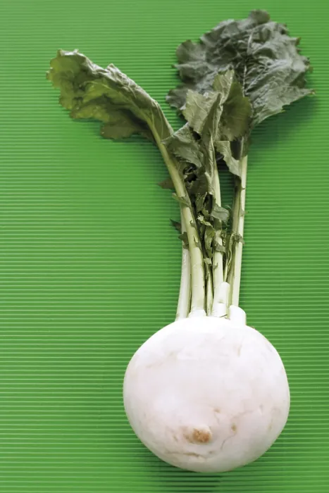 Gerahmter Druck : Turnip Gerahmter Druck : Turnip