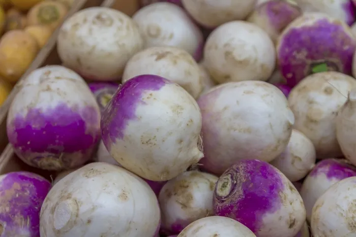 Gerahmter Druck : Rübe (Brassica rapa subsp. rapa) im Markt, Elsass, Frankreich Gerahmter Druck : Rübe (Brassica rapa subsp. rapa) im Markt, Elsass, Frankreich