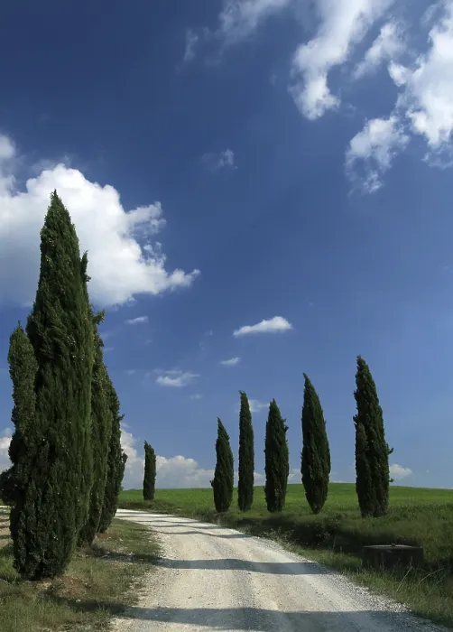 Gerahmter Druck : Tuscany Gerahmter Druck : Tuscany