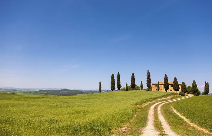 Gerahmter Druck : Tuscany Gerahmter Druck : Tuscany
