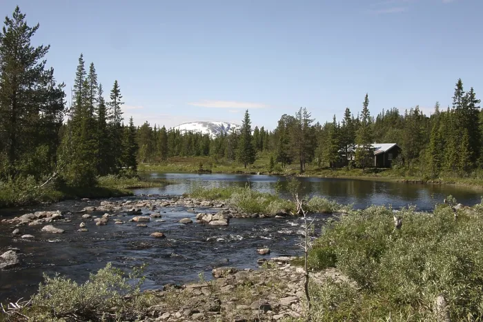 Gerahmter Druck : Typisches Zentrum norwegischer Landschaft. Gerahmter Druck : Typisches Zentrum norwegischer Landschaft.