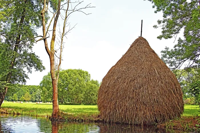 Gerahmter Druck : Typischer Heuschober, Spreewald, Brandenburg, Deutschland. Gerahmter Druck : Typischer Heuschober, Spreewald, Brandenburg, Deutschland.