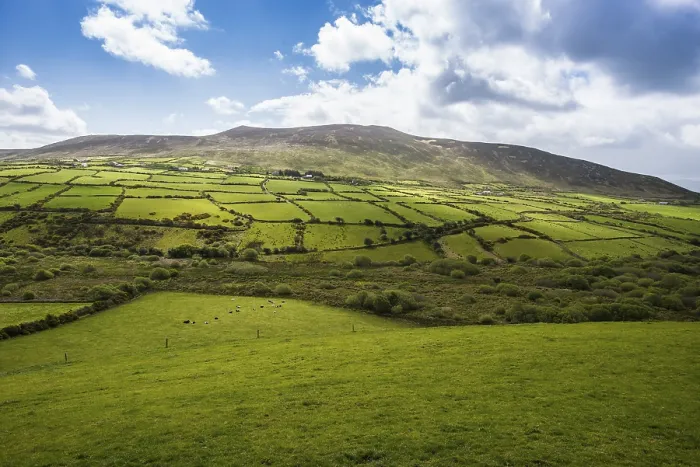 Gerahmter Druck : Hügelige Landschaft mit bewölktem Himmel, Dingle-Halbinsel, County Kerry, Republik Irland