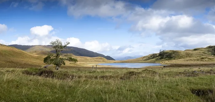 Gerahmter Druck : Typisches Landschaftsbild in den Highlands. Gerahmter Druck : Typisches Landschaftsbild in den Highlands.