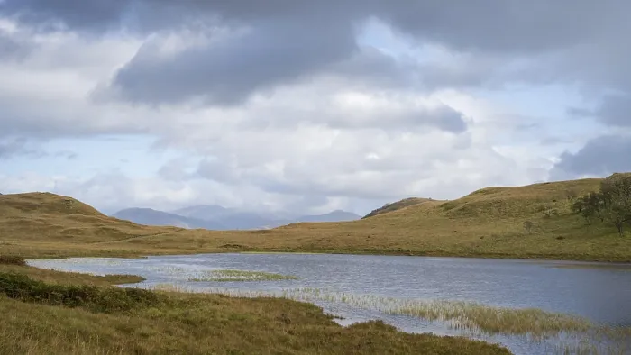 Gerahmter Druck : Typisches Landschaftsbild in den Highlands. Gerahmter Druck : Typisches Landschaftsbild in den Highlands.
