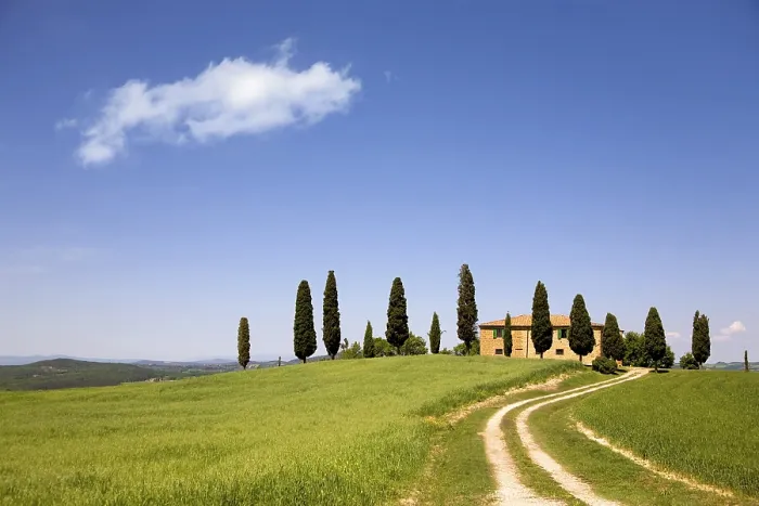 Gerahmter Druck : Typisches Toscana Gerahmter Druck : Typisches Toscana