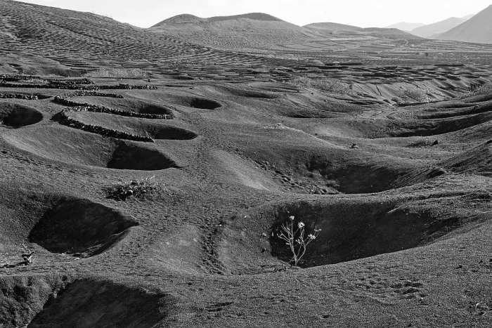 Gerahmter Druck : Typische Weinbau in Trockenanbaumethode. Gerahmter Druck : Typische Weinbau in Trockenanbaumethode.