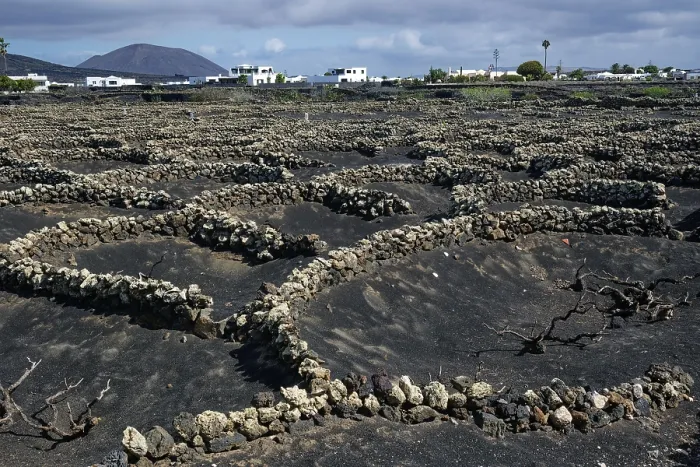 Gerahmter Druck : Typische Weinbau in Trockenanbaumethode. Gerahmter Druck : Typische Weinbau in Trockenanbaumethode.
