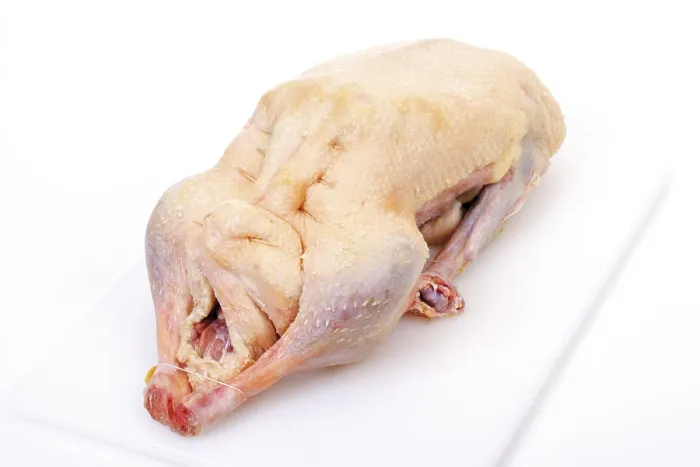 Gerahmter Druck : Ungekochter Gans. Gerahmter Druck : Ungekochter Gans.