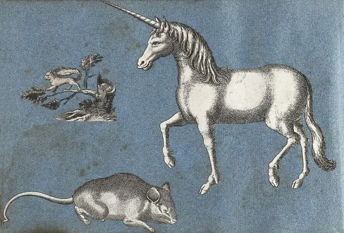 Gerahmter Druck : Ein Einhorn, ein Eichhörnchen und eine Maus Gerahmter Druck : Ein Einhorn, ein Eichhörnchen und eine Maus