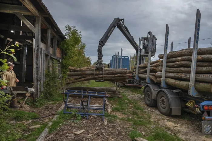 Gerahmter Druck : Holzlaster entladen. Gerahmter Druck : Holzlaster entladen.