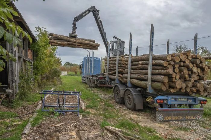 Gerahmter Druck : Holzstapel von einem Holztransporter entladen.