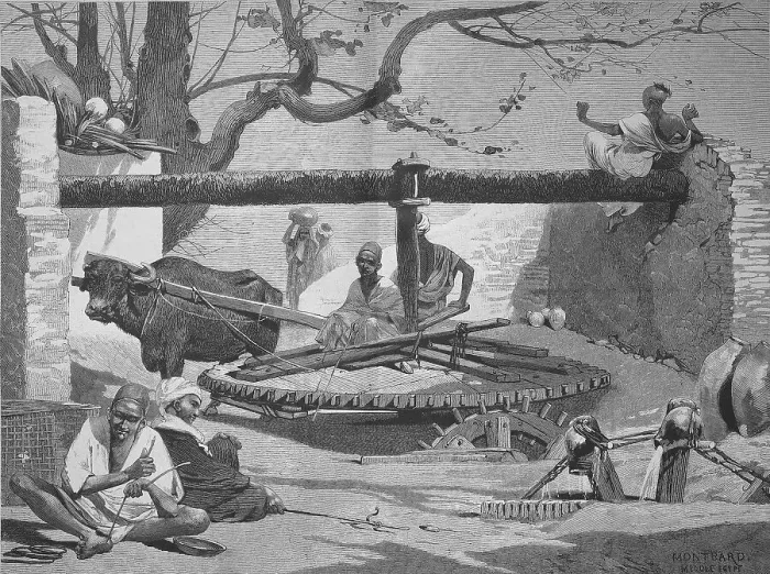 Gerahmter Druck : Im Oberen Ägypten wird das Wasser mit Hilfe eines Ochs gezogen Gerahmter Druck : Im Oberen Ägypten wird das Wasser mit Hilfe eines Ochs gezogen