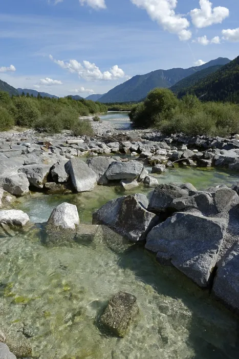 Gerahmter Druck : Oberer Isar, an der Sedimentbarriere. Gerahmter Druck : Oberer Isar, an der Sedimentbarriere.