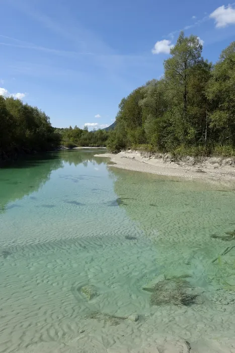 Gerahmter Druck : Oberer Isar, an der Sedimentbarriere. Gerahmter Druck : Oberer Isar, an der Sedimentbarriere.