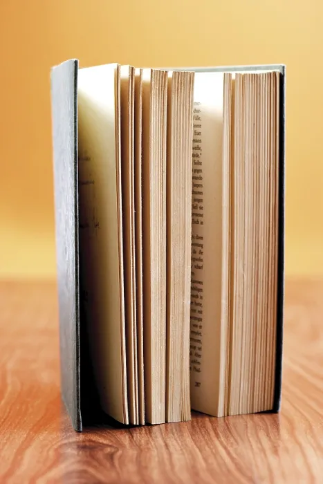 Gerahmter Druck : Rechthabender Buch Gerahmter Druck : Rechthabender Buch