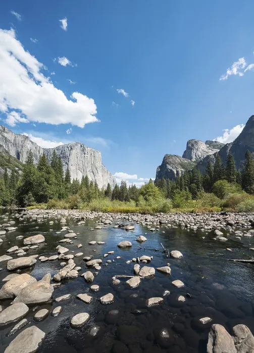 Gerahmter Druck : Talblick, Blick auf El Capitan Gerahmter Druck : Talblick, Blick auf El Capitan