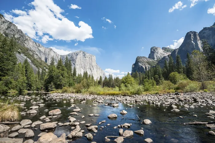 Gerahmter Druck : Talblick, Blick auf El Capitan. Gerahmter Druck : Talblick, Blick auf El Capitan.