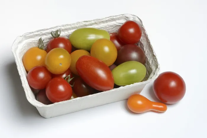 Gerahmter Druck : Verschiedene Cherry-Tomaten in Verpackung, Deutschland. Gerahmter Druck : Verschiedene Cherry-Tomaten in Verpackung, Deutschland.