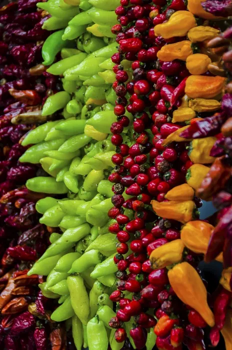 Gerahmter Druck : Verschiedene Chilis auf Gemüsestand Gerahmter Druck : Verschiedene Chilis auf Gemüsestand