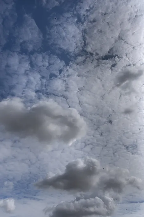 Gerahmter Druck : Verschiedene Wolkenformationen, Bayern, Deutschland. Gerahmter Druck : Verschiedene Wolkenformationen, Bayern, Deutschland.