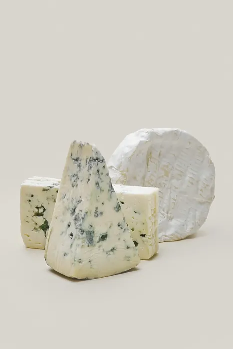 Gerahmter Druck : Verschiedene Arten blauer Schimmelschmelze Gerahmter Druck : Verschiedene Arten blauer Schimmelschmelze