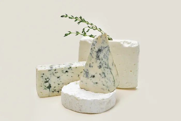 Gerahmter Druck : Blaukäse-Variationen Gerahmter Druck : Blaukäse-Variationen